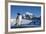 Gentoo Penguin on Anvers Island, Antarctica-Paul Souders-Framed Photographic Print