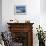 Gentoo Penguin on Anvers Island, Antarctica-Paul Souders-Framed Photographic Print displayed on a wall