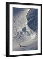 Gentoo Penguin on Melchior Island, Antarctica-Paul Souders-Framed Photographic Print