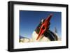 Gentoo Penguin on Petermann Island, Antarctica-Paul Souders-Framed Photographic Print