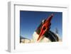 Gentoo Penguin on Petermann Island, Antarctica-Paul Souders-Framed Photographic Print