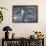 Gentoo Penguin on Petermann Island, Antarctica-Paul Souders-Framed Photographic Print displayed on a wall