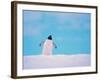 Gentoo Penguin on Snowline. Antarctica-Edwin Giesbers-Framed Photographic Print