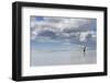 Gentoo Penguin on the sandy beach of Volunteer Point, Falkland Islands-Martin Zwick-Framed Photographic Print