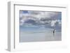 Gentoo Penguin on the sandy beach of Volunteer Point, Falkland Islands-Martin Zwick-Framed Photographic Print