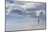 Gentoo Penguin on the sandy beach of Volunteer Point, Falkland Islands-Martin Zwick-Mounted Photographic Print