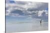 Gentoo Penguin on the sandy beach of Volunteer Point, Falkland Islands-Martin Zwick-Stretched Canvas