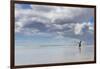 Gentoo Penguin on the sandy beach of Volunteer Point, Falkland Islands-Martin Zwick-Framed Photographic Print