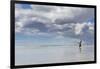 Gentoo Penguin on the sandy beach of Volunteer Point, Falkland Islands-Martin Zwick-Framed Photographic Print