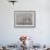 Gentoo Penguin on the sandy beach of Volunteer Point, Falkland Islands-Martin Zwick-Framed Photographic Print displayed on a wall