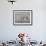 Gentoo Penguin on the sandy beach of Volunteer Point, Falkland Islands-Martin Zwick-Framed Photographic Print displayed on a wall