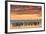 Gentoo Penguin on the sandy beach of Volunteer Point, Falkland Islands-Martin Zwick-Framed Photographic Print