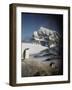 Gentoo Penguin on Wiencke Island, Antarctica-Paul Souders-Framed Photographic Print