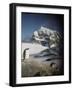 Gentoo Penguin on Wiencke Island, Antarctica-Paul Souders-Framed Photographic Print