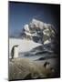 Gentoo Penguin on Wiencke Island, Antarctica-Paul Souders-Mounted Photographic Print