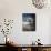 Gentoo Penguin on Wiencke Island, Antarctica-Paul Souders-Photographic Print displayed on a wall