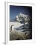 Gentoo Penguin on Wiencke Island, Antarctica-Paul Souders-Framed Photographic Print