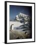 Gentoo Penguin on Wiencke Island, Antarctica-Paul Souders-Framed Photographic Print