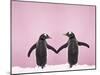 Gentoo Penguin Pair 'Holding Hands' in the Snow-null-Mounted Photographic Print