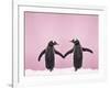 Gentoo Penguin Pair 'Holding Hands' in the Snow-null-Framed Photographic Print