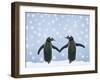 Gentoo Penguin Pair 'Holding Hands' in the Snow-null-Framed Photographic Print