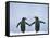 Gentoo Penguin Pair 'Holding Hands'-null-Framed Stretched Canvas