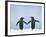Gentoo Penguin Pair 'Holding Hands'-null-Framed Photographic Print