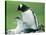 Gentoo Penguin Parent with Chicks-null-Stretched Canvas