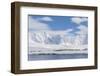 Gentoo Penguin (Pygoscelis Papua) Breeding Colony at Dorian Bay, Antarctica, Polar Regions-Michael Nolan-Framed Photographic Print