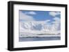 Gentoo Penguin (Pygoscelis Papua) Breeding Colony at Dorian Bay, Antarctica, Polar Regions-Michael Nolan-Framed Photographic Print