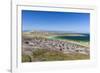 Gentoo penguin (Pygoscelis papua) breeding colony on the slopes of Carcass Island, Falkland Islands-Michael Nolan-Framed Photographic Print