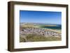 Gentoo penguin (Pygoscelis papua) breeding colony on the slopes of Carcass Island, Falkland Islands-Michael Nolan-Framed Photographic Print