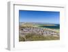 Gentoo penguin (Pygoscelis papua) breeding colony on the slopes of Carcass Island, Falkland Islands-Michael Nolan-Framed Photographic Print