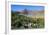 Gentoo Penguin (Pygoscelis papua) colony, Godthul, South Georgia, Antarctica, Polar Regions-Michael Runkel-Framed Photographic Print