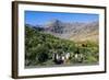 Gentoo Penguin (Pygoscelis papua) colony, Godthul, South Georgia, Antarctica, Polar Regions-Michael Runkel-Framed Photographic Print