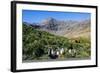 Gentoo Penguin (Pygoscelis papua) colony, Godthul, South Georgia, Antarctica, Polar Regions-Michael Runkel-Framed Photographic Print