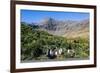 Gentoo Penguin (Pygoscelis papua) colony, Godthul, South Georgia, Antarctica, Polar Regions-Michael Runkel-Framed Photographic Print