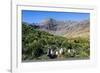 Gentoo Penguin (Pygoscelis papua) colony, Godthul, South Georgia, Antarctica, Polar Regions-Michael Runkel-Framed Photographic Print