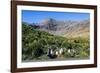 Gentoo Penguin (Pygoscelis papua) colony, Godthul, South Georgia, Antarctica, Polar Regions-Michael Runkel-Framed Photographic Print