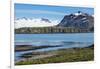 Gentoo penguin (Pygoscelis papua) colony, Prion Island, South Georgia, Antarctica, Polar Regions-Michael Runkel-Framed Photographic Print