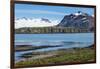 Gentoo penguin (Pygoscelis papua) colony, Prion Island, South Georgia, Antarctica, Polar Regions-Michael Runkel-Framed Photographic Print