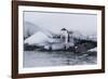 Gentoo Penguin (Pygoscelis Papua) Leaping into the Sea at Booth Island, Antarctica, Polar Regions-Michael Nolan-Framed Photographic Print