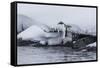 Gentoo Penguin (Pygoscelis Papua) Leaping into the Sea at Booth Island, Antarctica, Polar Regions-Michael Nolan-Framed Stretched Canvas