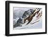 Gentoo Penguin Rookery (Pygoscelis Papua)-Gabrielle and Michel Therin-Weise-Framed Photographic Print