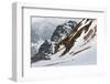 Gentoo Penguin Rookery (Pygoscelis Papua)-Gabrielle and Michel Therin-Weise-Framed Photographic Print