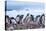 Gentoo Penguin rookery, Yankee Harbor, Greenwich Island, Antarctica.-William Perry-Stretched Canvas