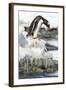 Gentoo Penguin standing along the shore, Cuverville Island, Antarctica-Paul Souders-Framed Photographic Print