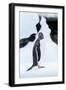 Gentoo Penguin standing on iceberg along Cuverville Island, Antarctica-Paul Souders-Framed Photographic Print