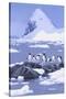 Gentoo Penguin-DLILLC-Stretched Canvas