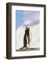 Gentoo Penguin-null-Framed Photographic Print